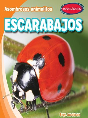 cover image of Escarabajos (Beetles)